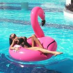 Plameňák a jednorožec