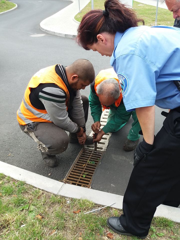 Vyproštění kachněte