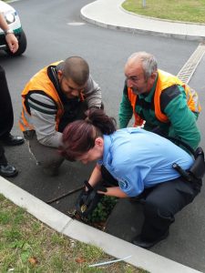 Vyproštění kachněte