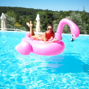 Plameňák a jednorožec