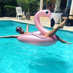 Plameňák a jednorožec