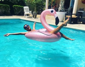 Plameňák a jednorožec